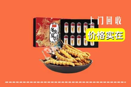 盐城响水县回收冬虫夏草